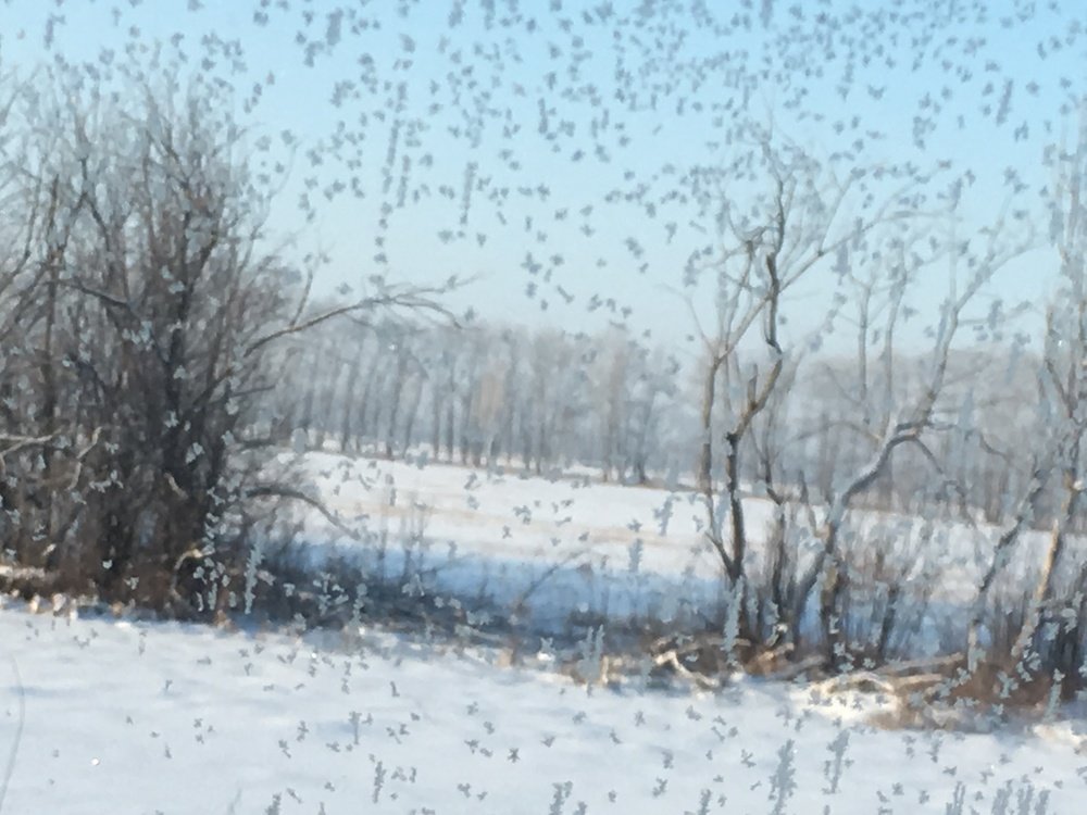 Photograph by Виктория Янушанис