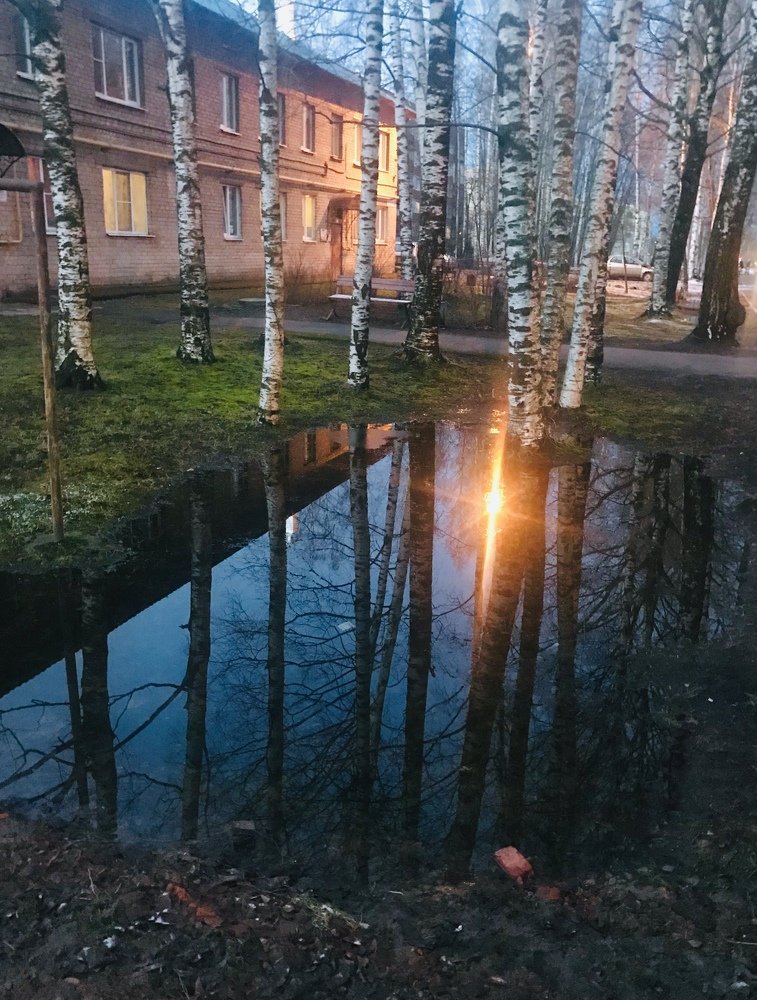 Тени и отражения