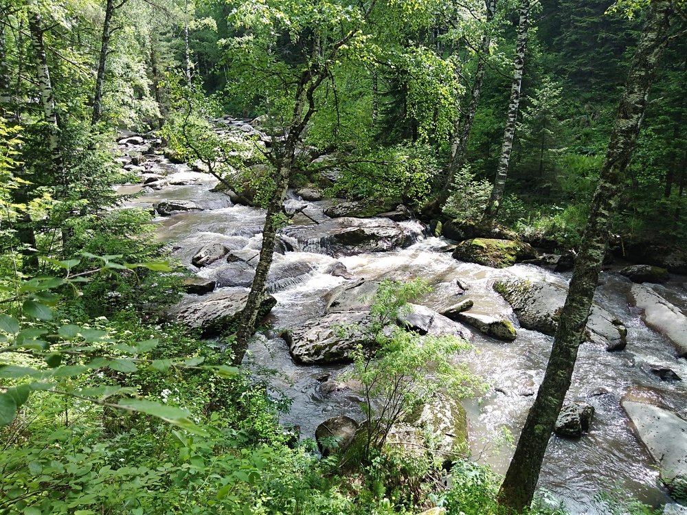Photo #4453408