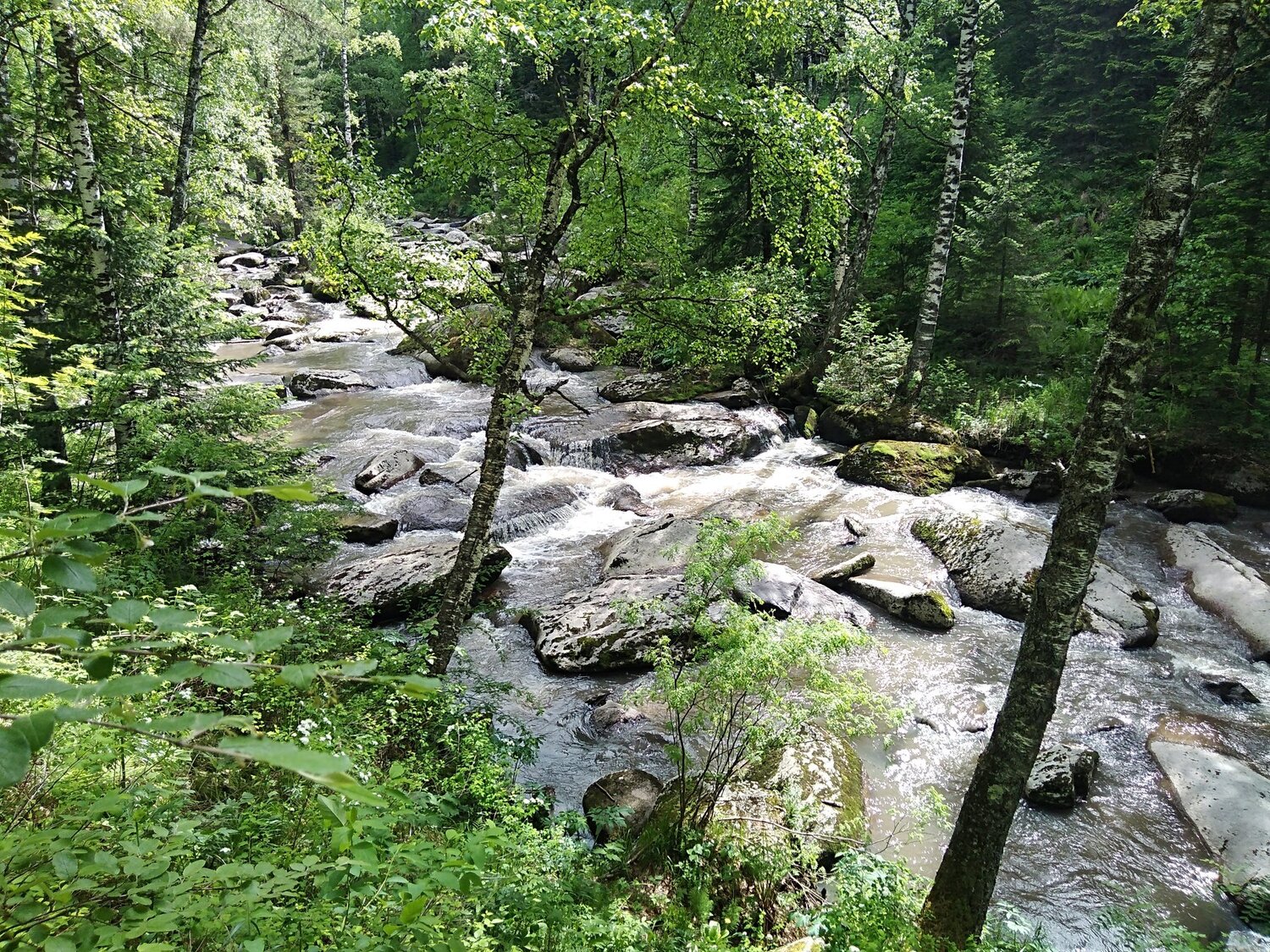 Photo #4453408