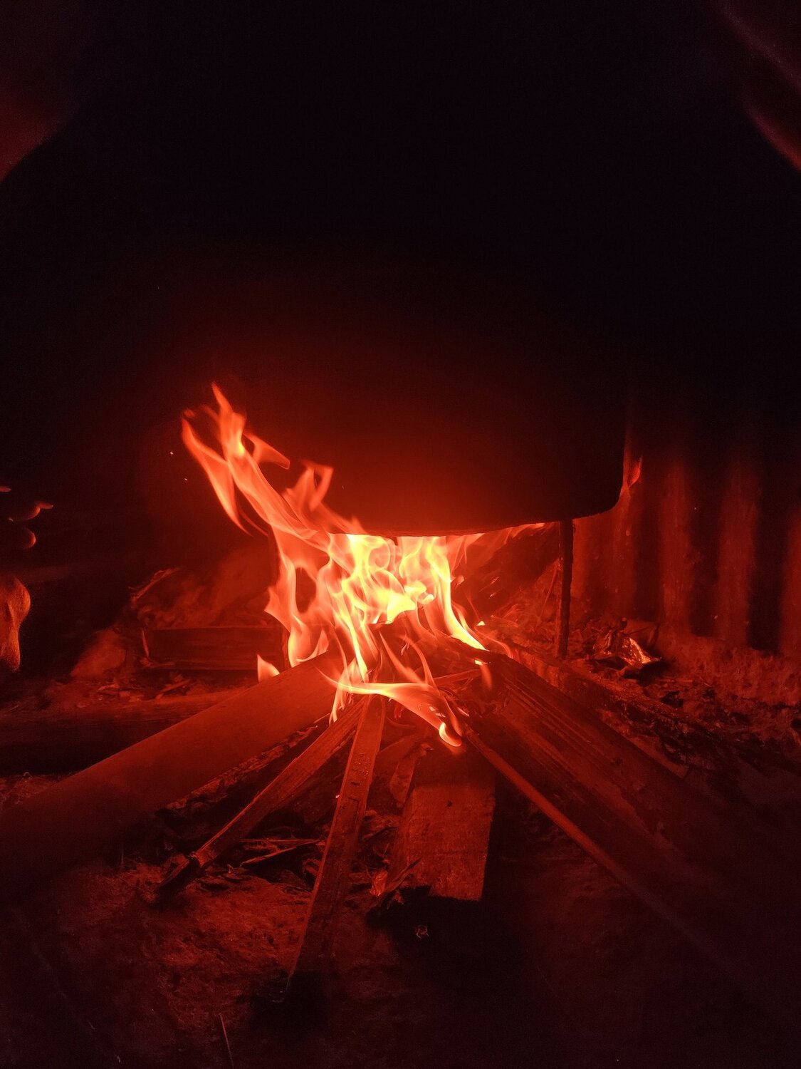 Photo #4453478