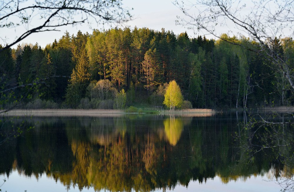 Закат на лесном озере