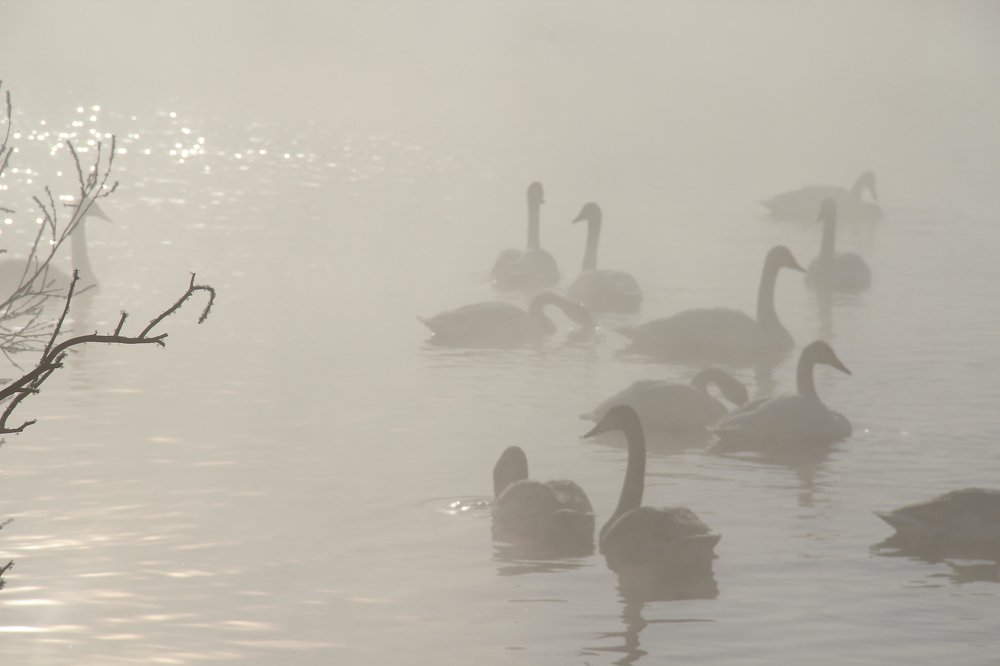 Photograph by Ирина Латынцева