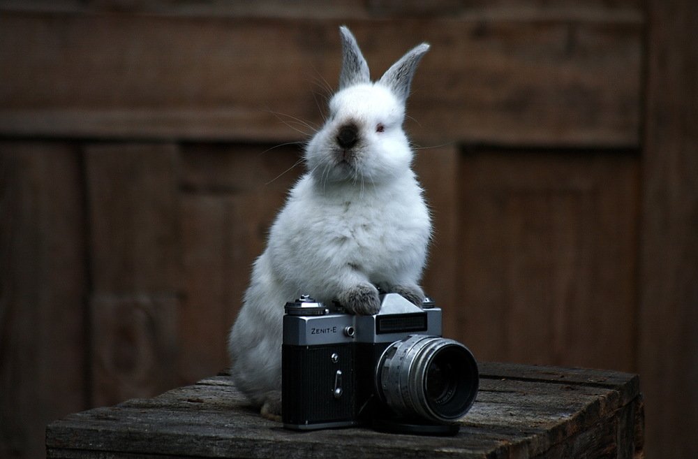 Photograph by Анатолий Святой