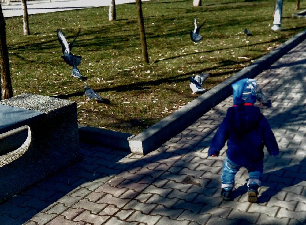 Дитина і птахи