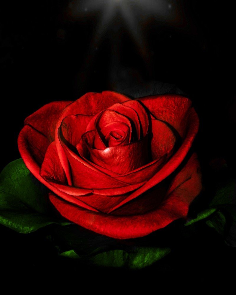 Photograph by Сергей Таранов