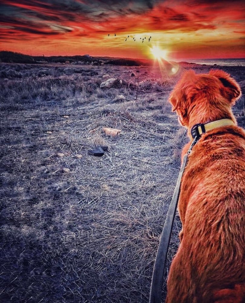 Looking towards the sunset