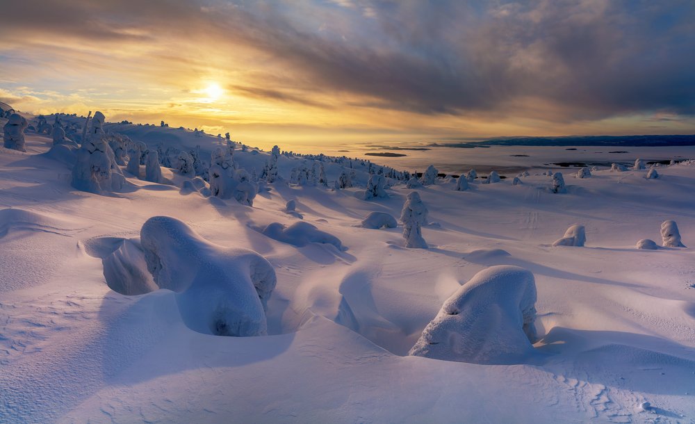 Уснувшие до весны