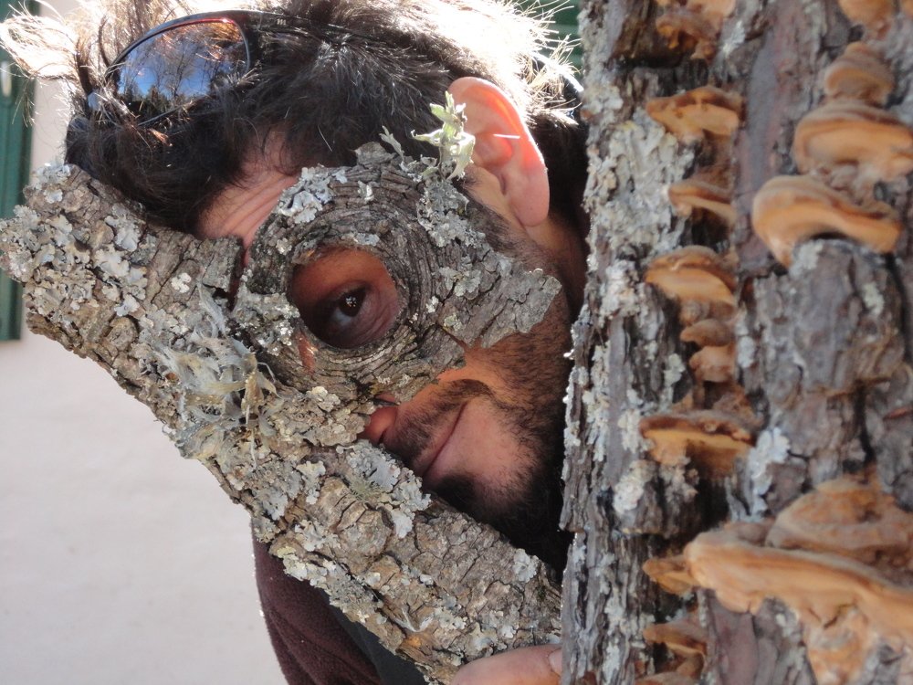 Photo #4453788