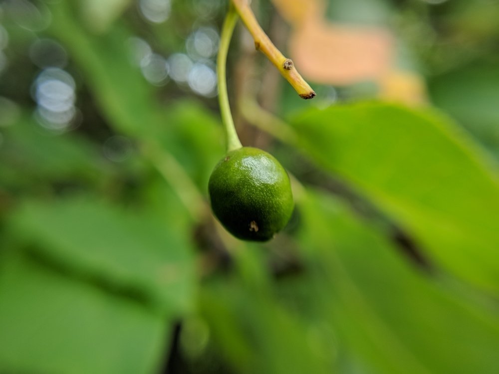 Photograph by Наиль Шакиров