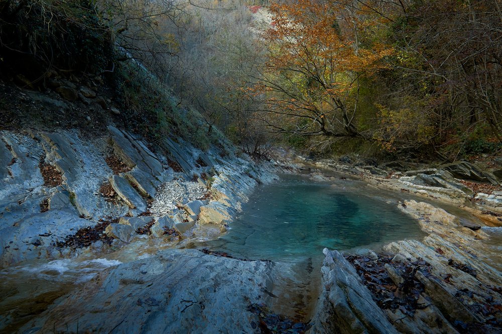 Photograph by Григорий