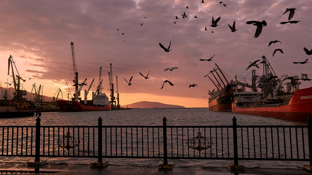 Photograph by Григорий