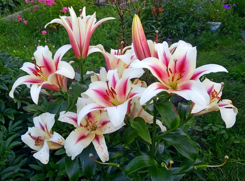 Photograph by Александр Бровкин