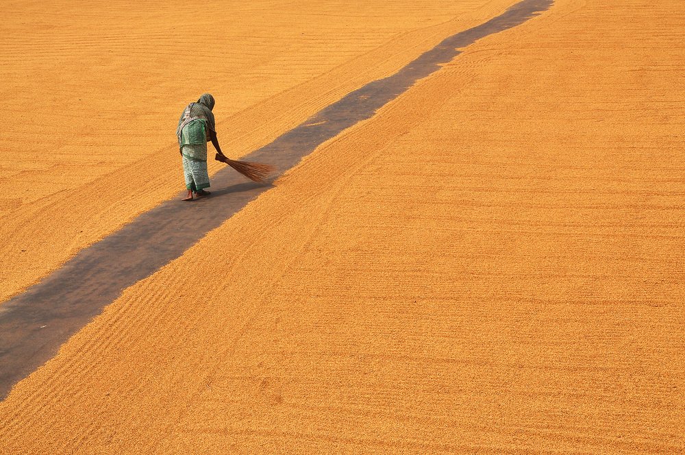 Photograph by NARENDU  GHOSH