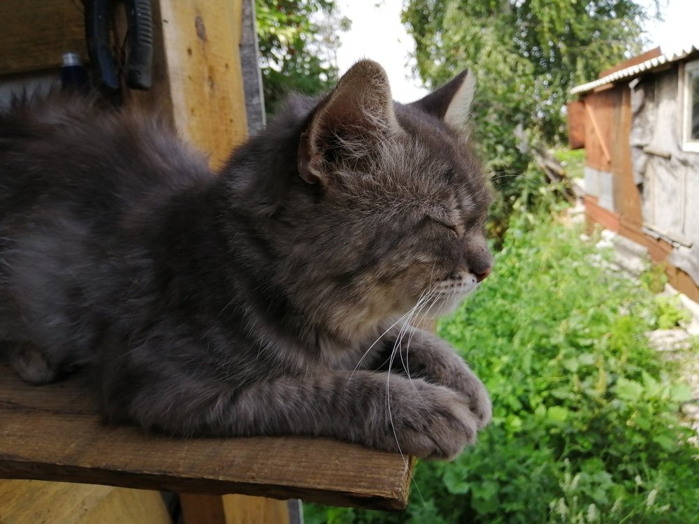 Photograph by Захар Пфейфер