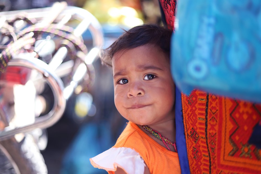 Фотография автора ehsan kaviani