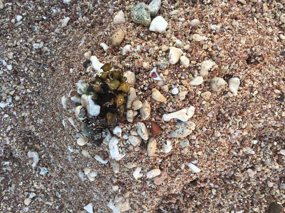 Photograph by Виктория Жуковская