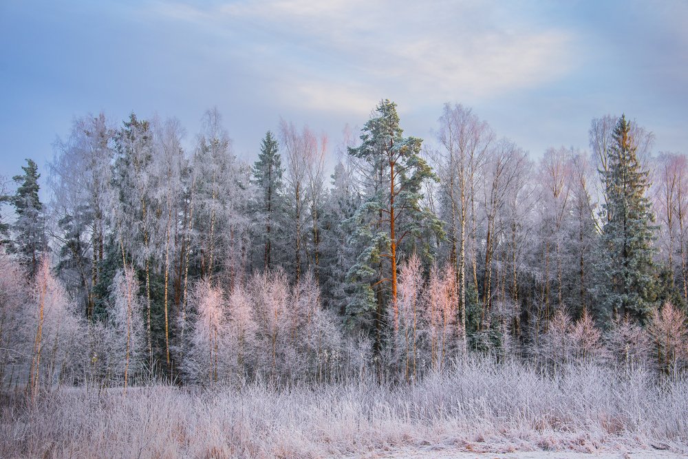 Безмятежность
