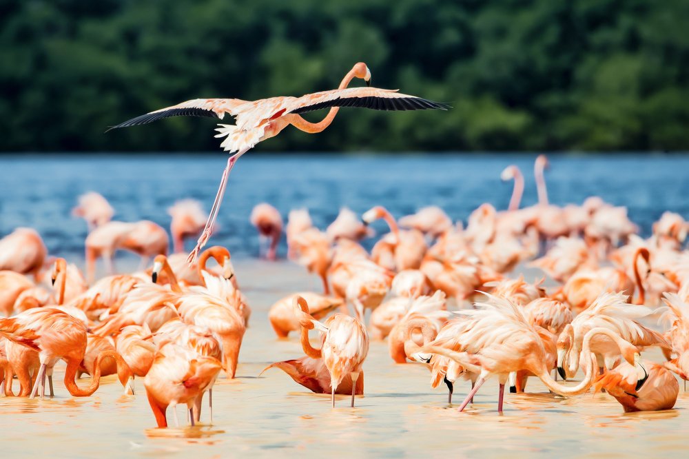 Photograph by  Pedro