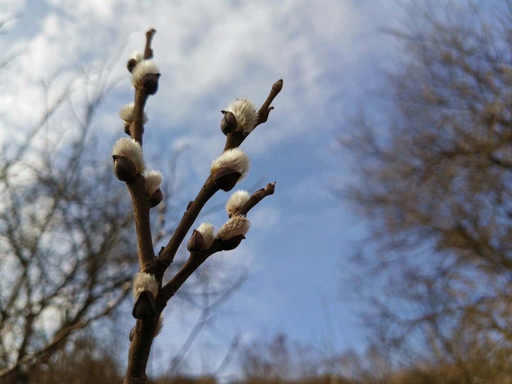 Photograph by Александр Костин