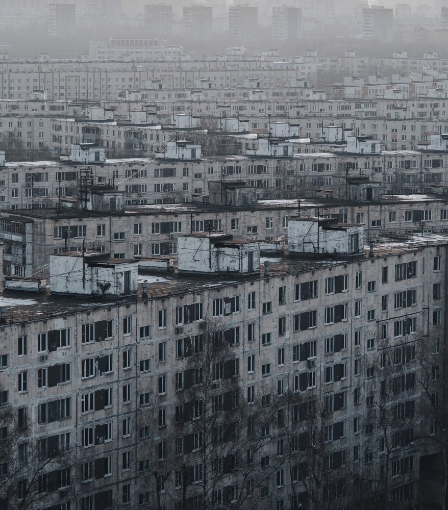 Photo #4454329