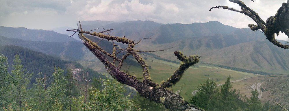 Photograph by Максим Дубинин