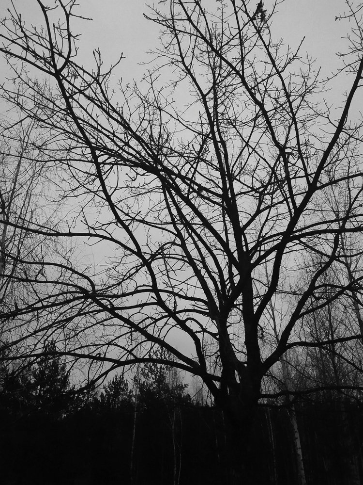 Photograph by Феофан