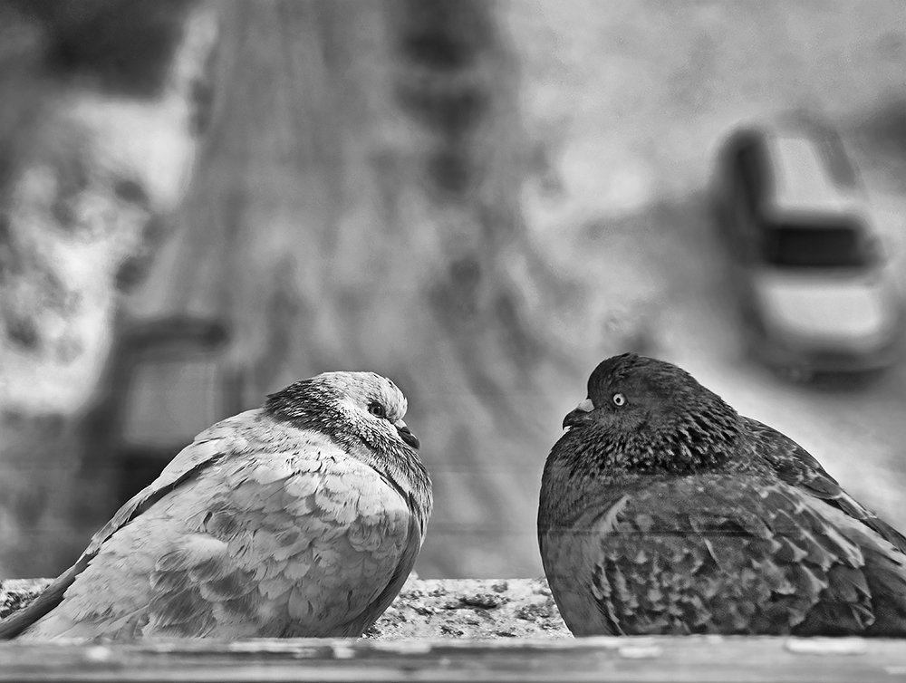 Photograph by Евгений Денисов