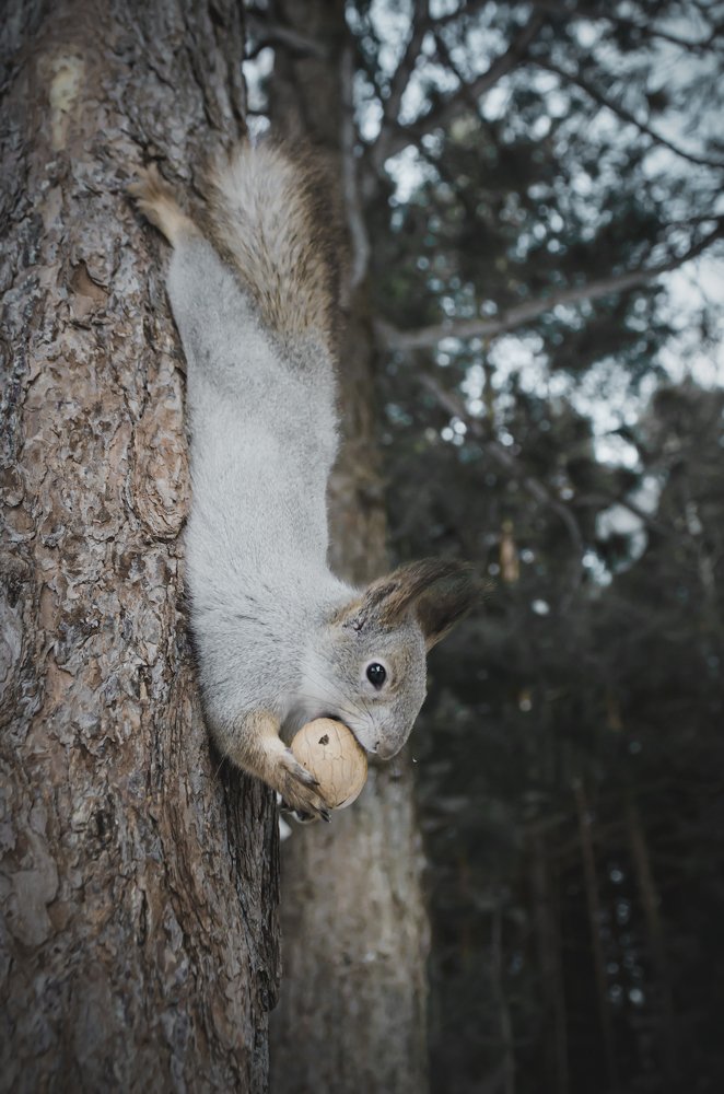 Photograph by Василий Рогачёв