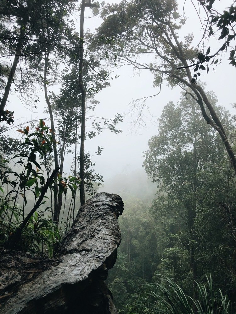 Photograph by Sharizan Musa