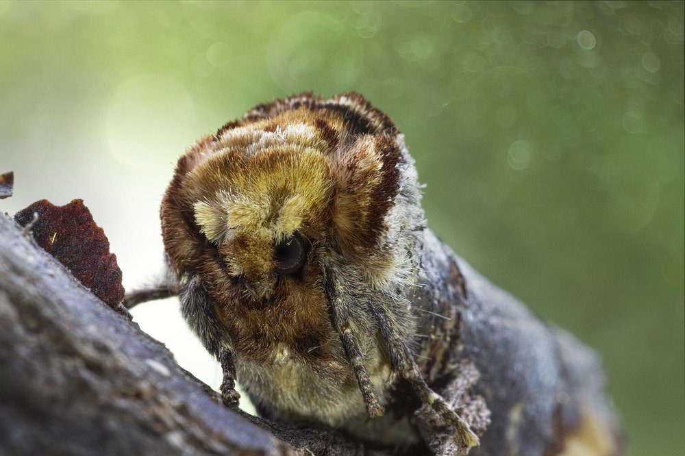 Photograph by Сергей Пискарёв