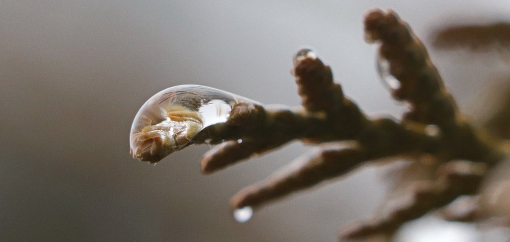 Photograph by Евгений Михеев