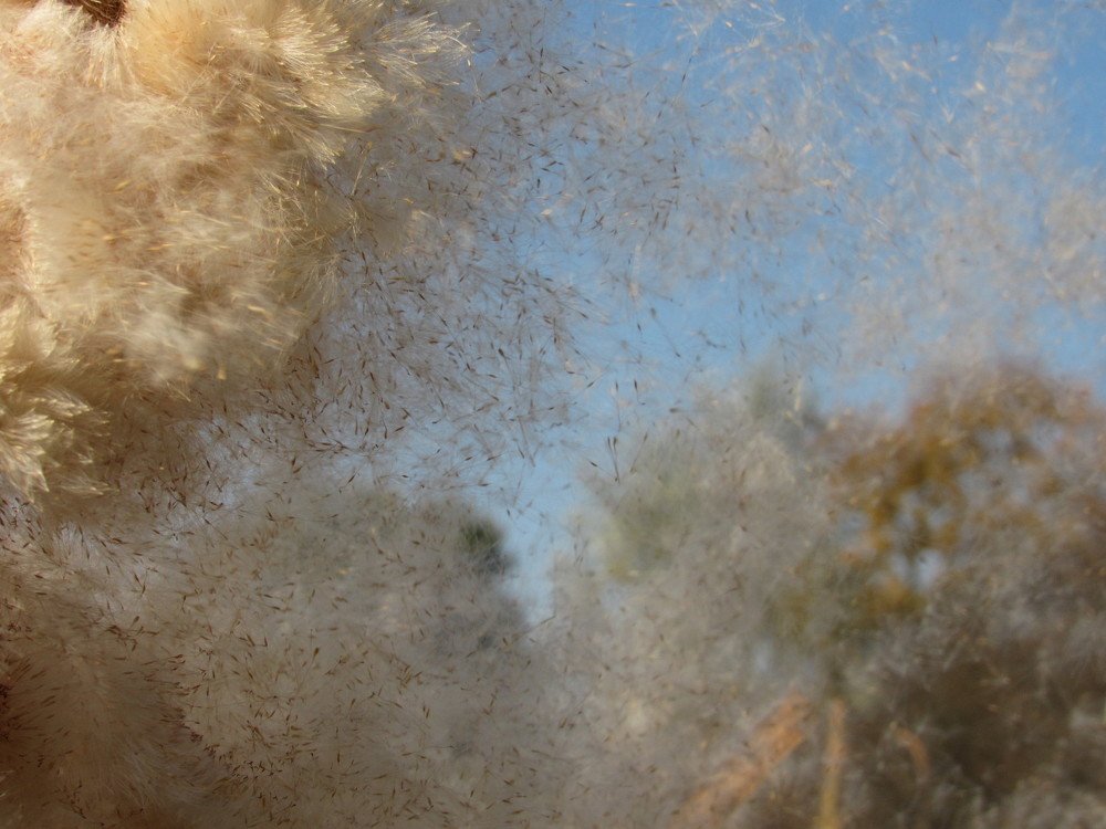 Photograph by Яна Зайцева