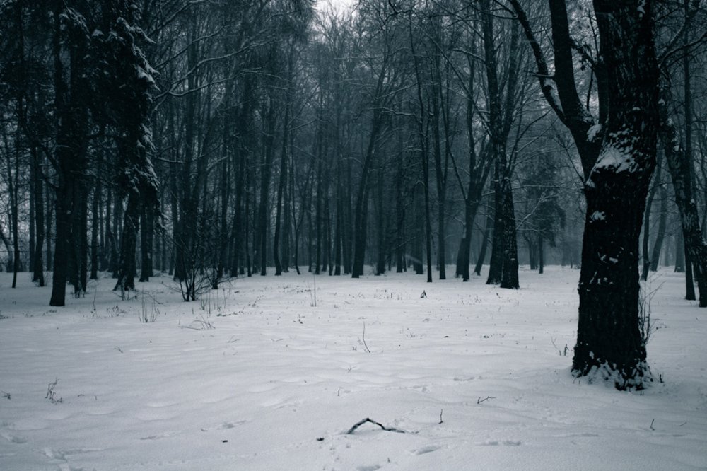 Photograph by Даниил Мусатов