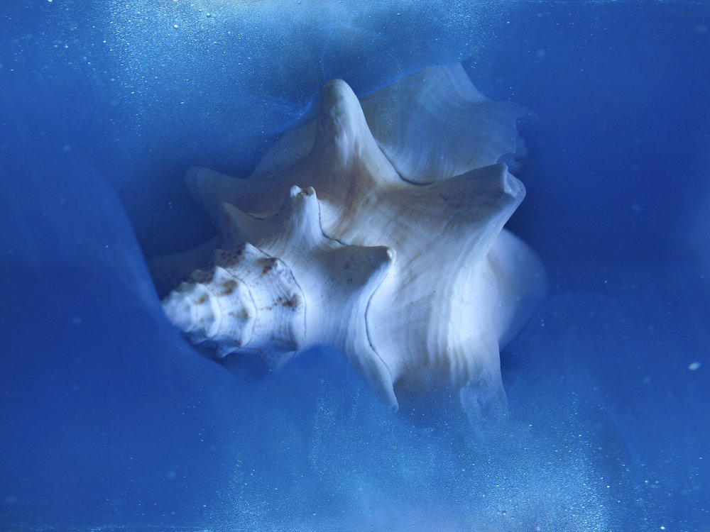 Photograph by Tatevik Tananyan