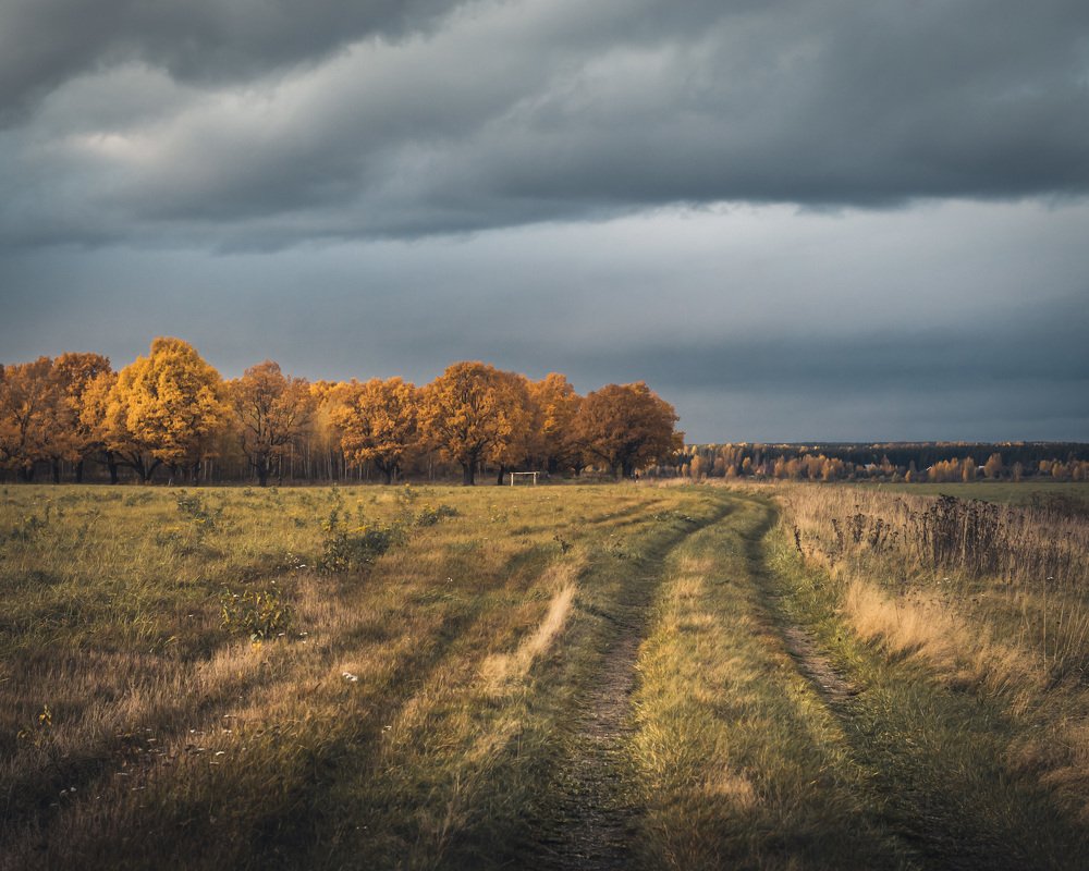 Дорога в осень