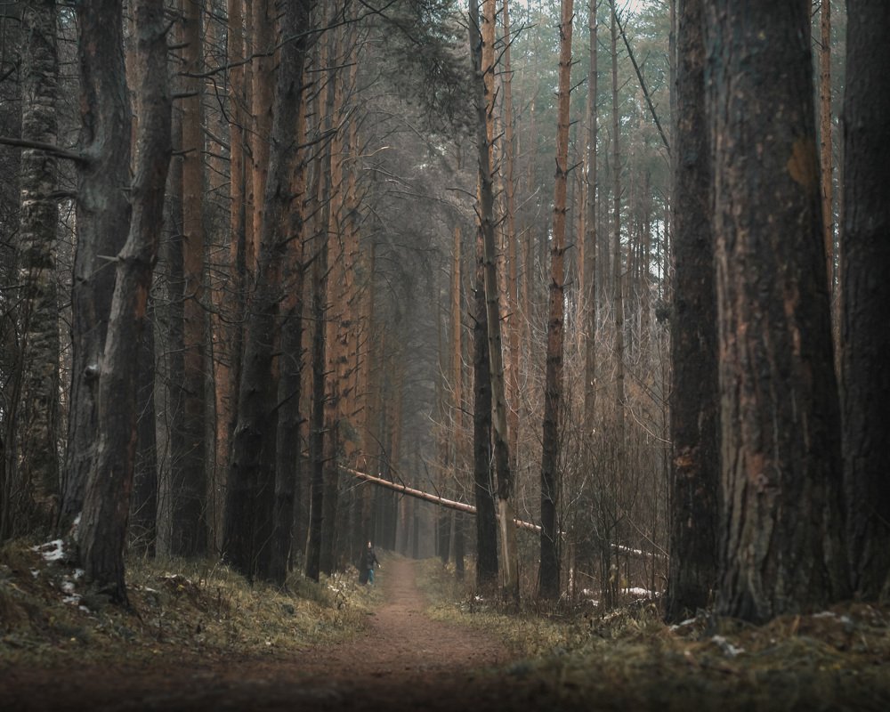 Photograph by Татьяна Шаброва