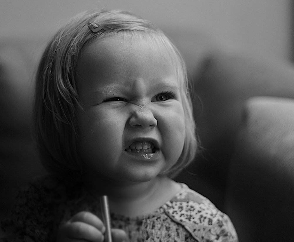 Photograph by Saulius Smirinenko