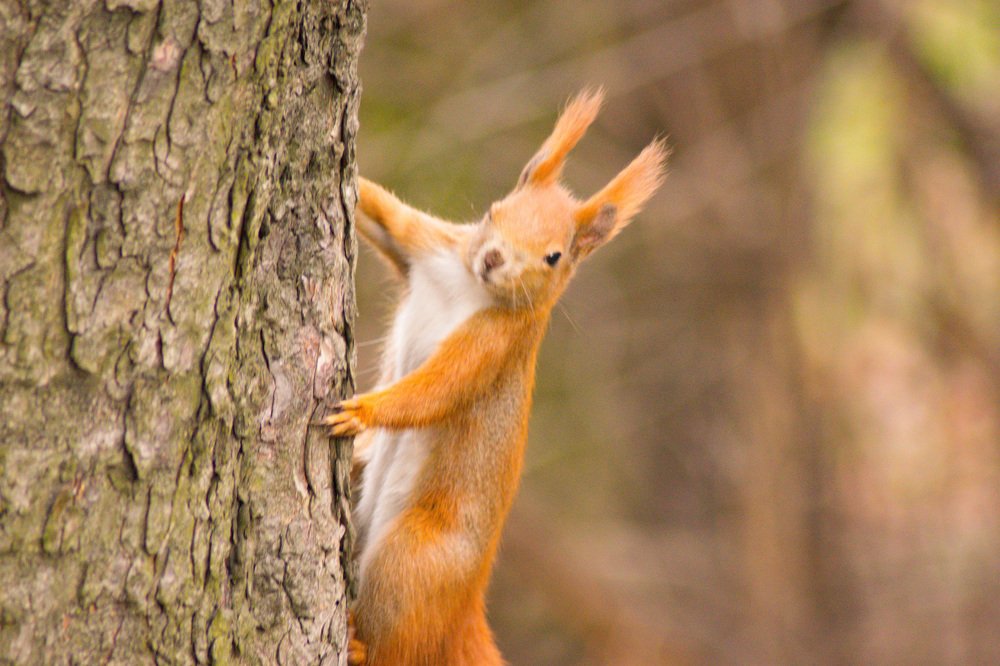 Photograph by Sabina Żmija