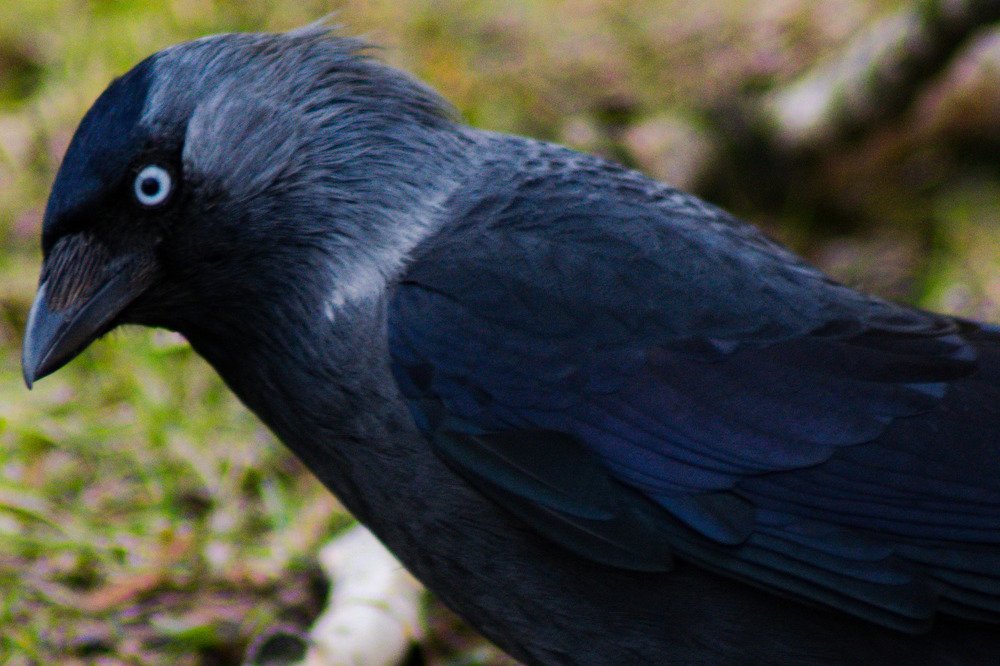 Photograph by Sabina Żmija