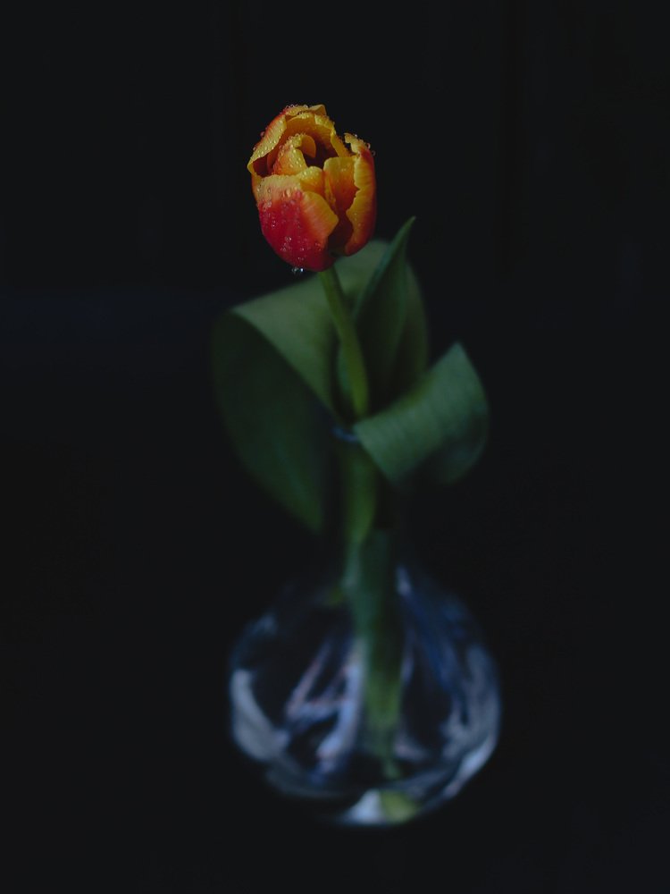 Photograph by Динара Вальчук