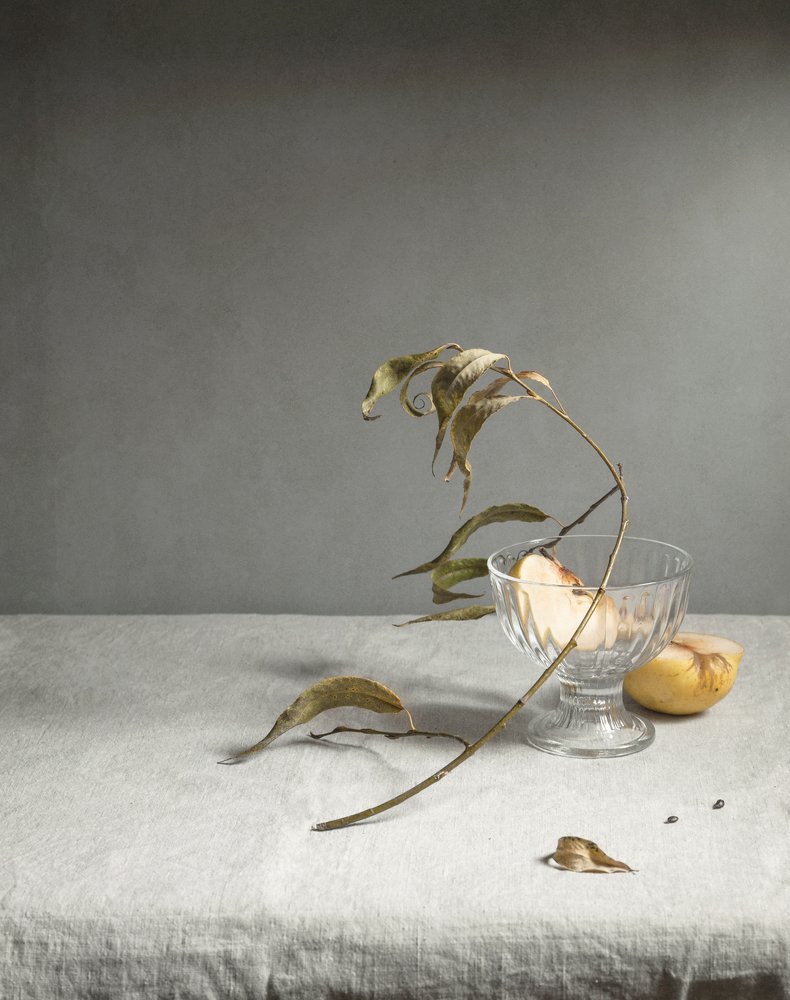 Фотография автора Елена Хазина