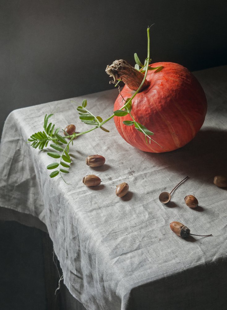 Фотография автора Елена Хазина