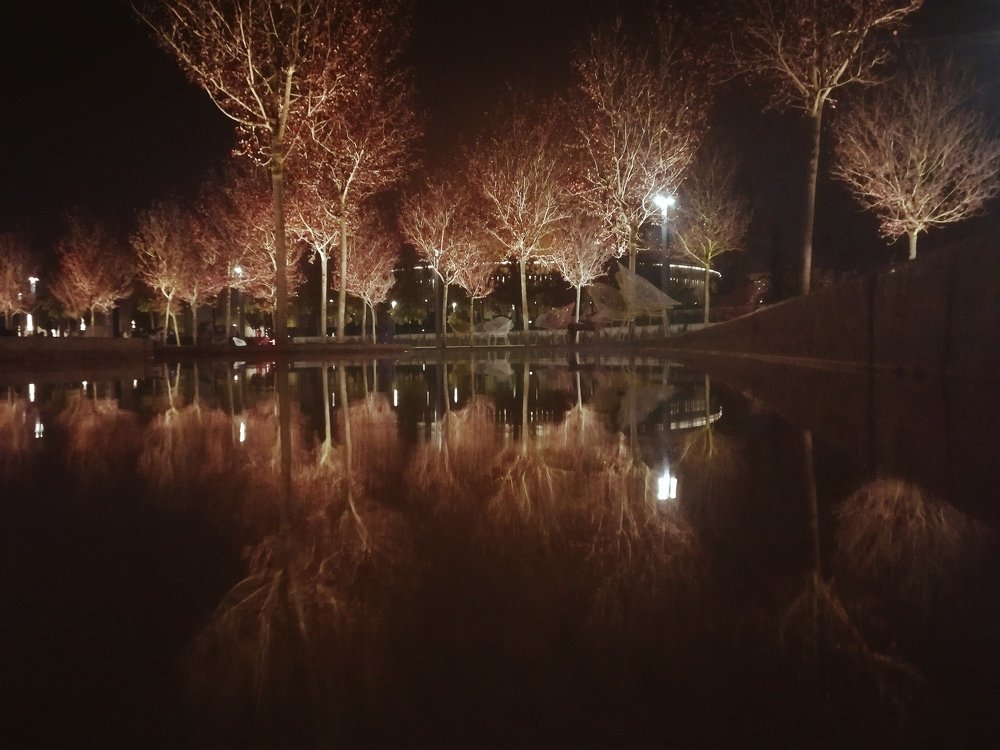 Photo #4455054