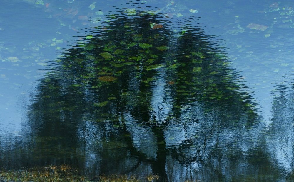 Photograph by Нина Никонорова