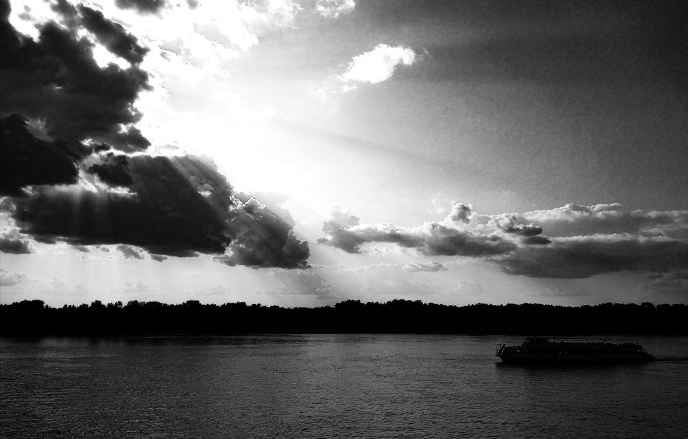 Photo #4455155