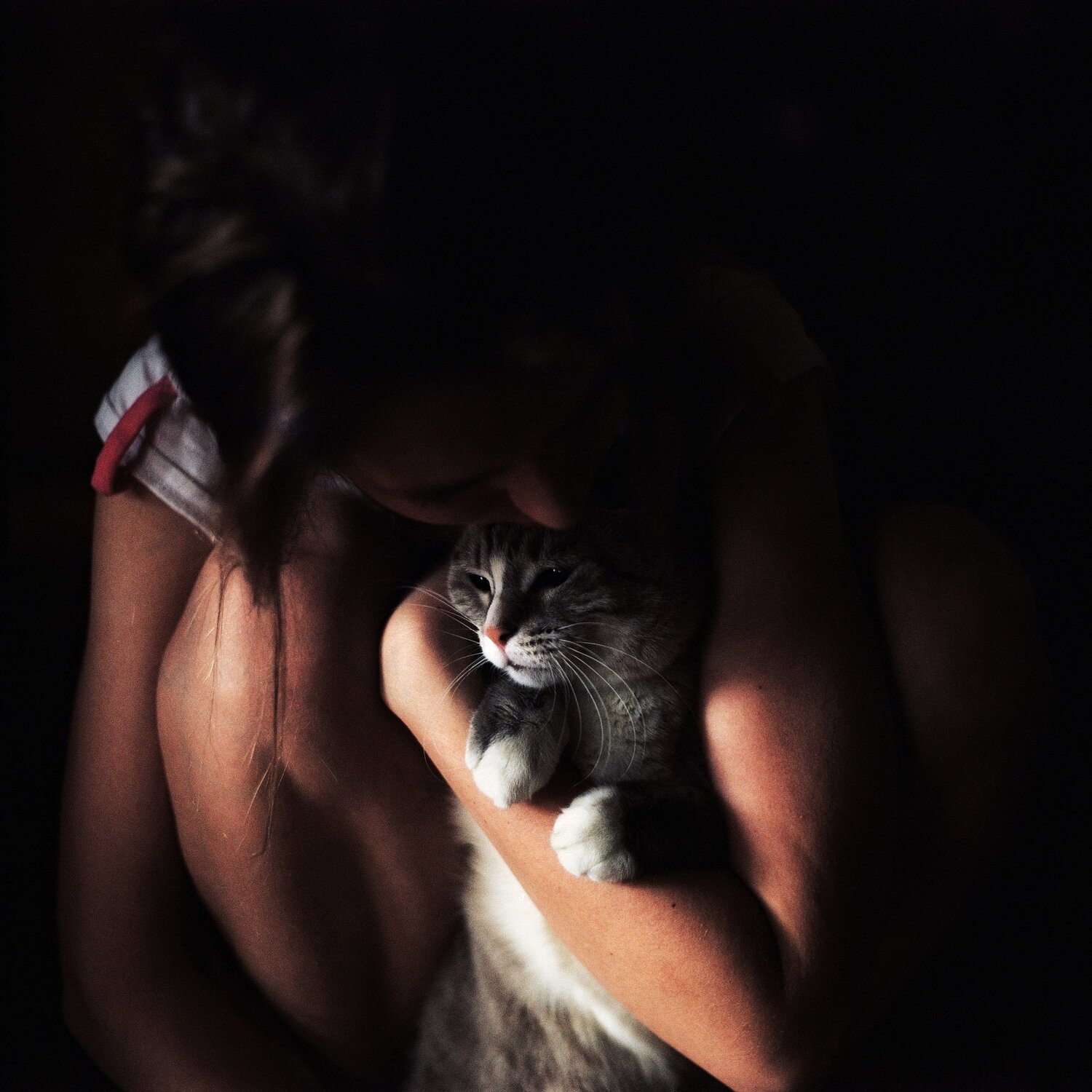 Photo #4455177