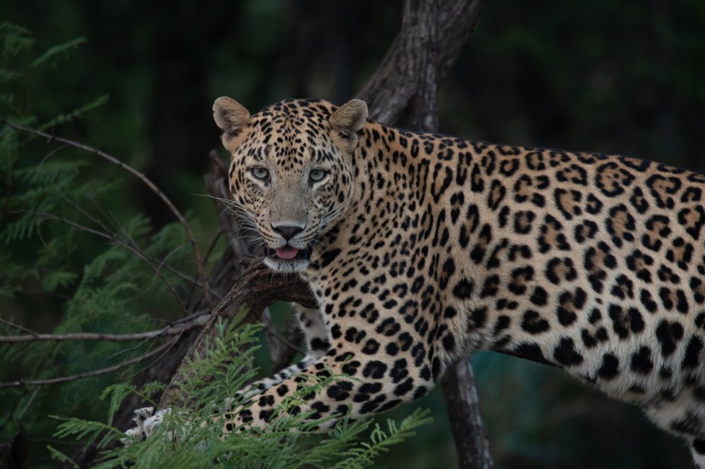 Фотография автора vivek yadav