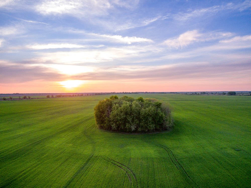 Photograph by Максим Дяченко