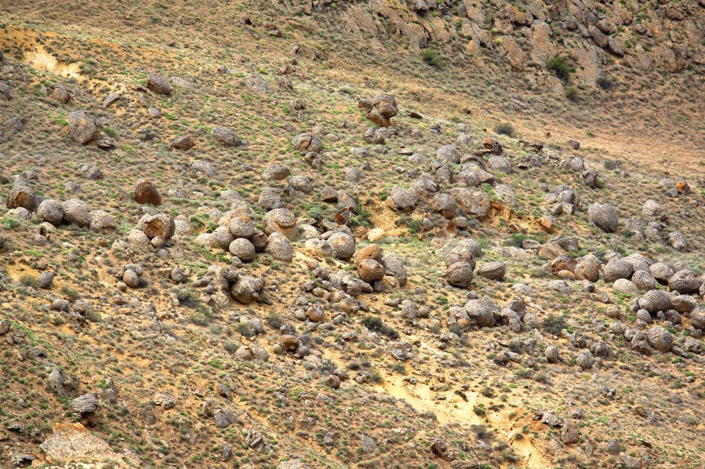 Photograph by Самат Нурекешов